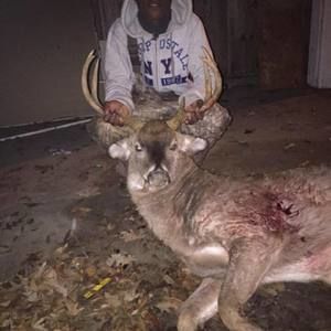 Meet your Posher, Jay